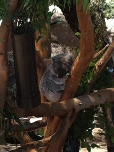 California 2012 - 355 of 391